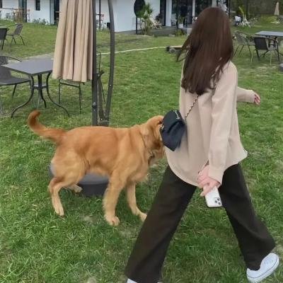 一代妖后